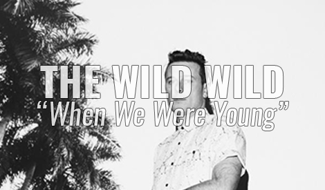 the wild wild