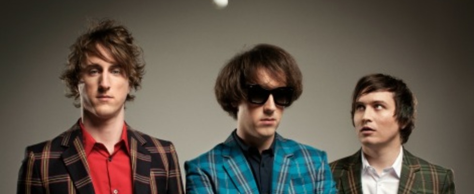 the wombats
